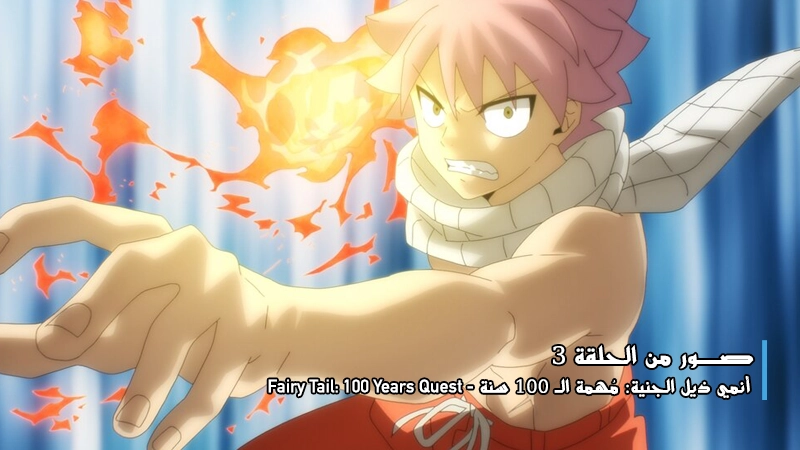 fairytail100yq3_00